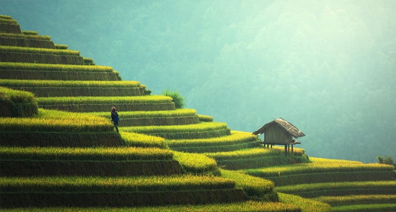 Sustainable Lifestyle
